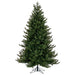 6'6"Hx52"W PE Washington Fraser Artificial Christmas Tree, Unlit -Green - G230865
