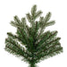 6'6"Hx52"W PE Washington Fraser Artificial Christmas Tree, Unlit -Green - G230865