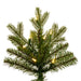 6'6"Hx52"W PE Washington Fraser Artificial Christmas Tree, LED Pre-Lit -Green - G230866LED