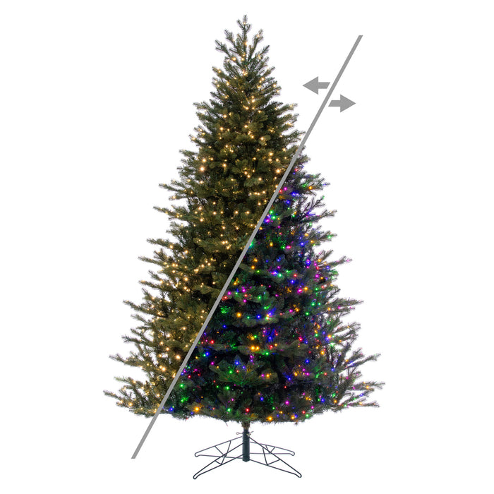 7'6"Hx58"W PE Washington Fraser Artificial Christmas Tree, Micro LED Pre-Lit (Multi-Mode) -Green - G230878LEDCC