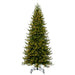 12'Hx54"W PE Washington Fraser Artificial Christmas Tree, LED Pre-Lit -Green - G230891LED