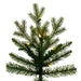 9'Hx54"W PE Washington Fraser Artificial Christmas Tree, LED Pre-Lit -Green - G230881LED