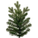 10'Hx54"W PE Washington Fraser Artificial Christmas Tree, Unlit -Green - G230885