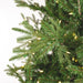 12'Hx54"W PE Washington Fraser Artificial Christmas Tree, LED Pre-Lit -Green - G230891LED