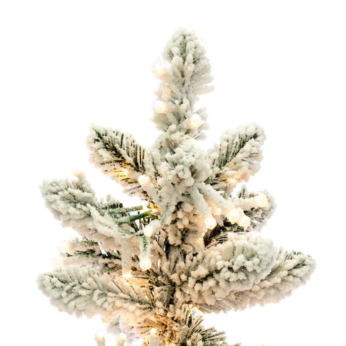 6'Hx19"W Snowy Flocked Alpine Artificial Christmas Tree, Micro LED Pre-Lit -Green - G232561LED