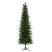 6'6"Hx27"W PE Tacoma Fraser Fir Artificial Christmas Tree, Unlit -Green - G236265