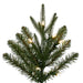 7'6"Hx30"W PE Tacoma Fraser Fir Artificial Christmas Tree, LED Pre-Lit -Green - G236276LED