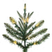 9'Hx34"W PE Tacoma Fraser Fir Artificial Christmas Tree, Micro LED Pre-Lit (Multi-Mode) -Green - G236283LEDCC