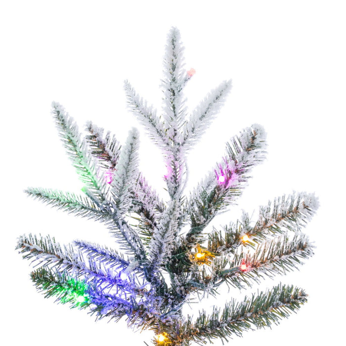 10'Hx37"W PE Frosted Tacoma Fraser Fir Artificial Christmas Tree, Micro LED Pre-Lit (Multi-Mode) -White - G236688LEDCC