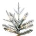 7'6"Hx30"W PE Frosted Tacoma Fraser Fir Artificial Christmas Tree, Micro LED Pre-Lit (Multi-Mode) -White - G236678LEDCC
