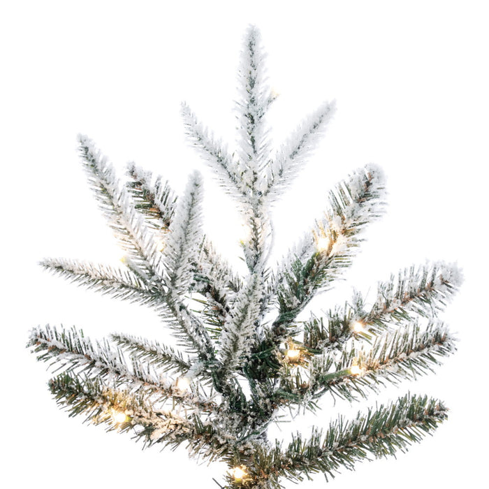10'Hx37"W PE Frosted Tacoma Fraser Fir Artificial Christmas Tree, Micro LED Pre-Lit (Multi-Mode) -White - G236688LEDCC