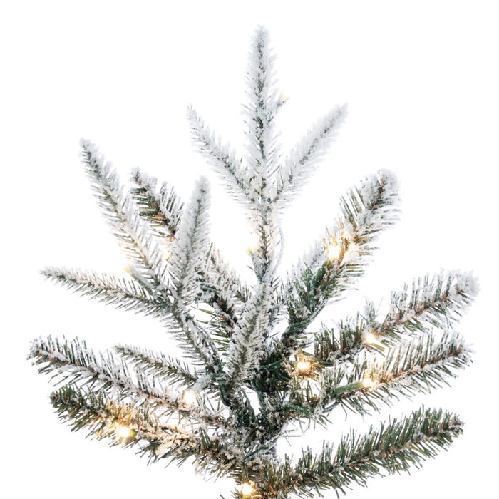 9'Hx34"W PE Frosted Tacoma Fraser Fir Artificial Christmas Tree, Micro LED Pre-Lit (Multi-Mode) -White - G236683LEDCC