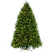 6'6"Hx55"W Deluxe Sequoia Pine Artificial Christmas Tree, LED Pre-Lit -Green - G237566LED
