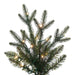 7'6"Hx55"W PE Colorado Fir Artificial Christmas Tree, Micro LED Pre-Lit (Multi-Mode) -Green - G250278LEDCC