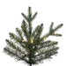 9'Hx59"W PE Colorado Fir Artificial Christmas Tree, Micro LED Pre-Lit (Multi-Mode) -Green - G250283LEDCC