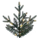 7'6"Hx55"W PE Colorado Blue Fir Artificial Christmas Tree, Micro LED Pre-Lit (Multi-Mode) -Green - G250678LEDCC