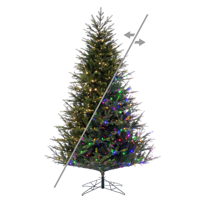 7'6"Hx58"W PE Orchard Fraser Fir Artificial Christmas Tree, Micro LED Pre-Lit (Multi-Mode) -Green - G252278LEDCC