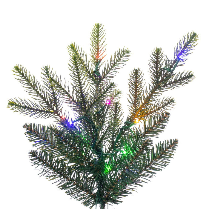 7'6"Hx58"W PE Orchard Fraser Fir Artificial Christmas Tree, Micro LED Pre-Lit (Multi-Mode) -Green - G252278LEDCC