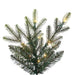 6'6"Hx51"W PE Orchard Fraser Fir Artificial Christmas Tree, Micro LED Pre-Lit (Multi-Mode) -Green - G252268LEDCC