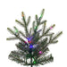 9'Hx63"W PE Orchard Fraser Fir Artificial Christmas Tree, Micro LED Pre-Lit (Multi-Mode) -Green - G252283LEDCC