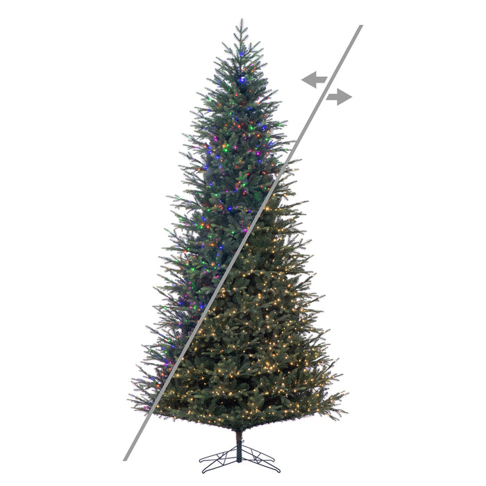 10'Hx65"W PE Orchard Fraser Fir Artificial Christmas Tree, Micro LED Pre-Lit (Multi-Mode) -Green - G252288LEDCC