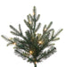 10'Hx65"W PE Orchard Fraser Fir Artificial Christmas Tree, Micro LED Pre-Lit (Multi-Mode) -Green - G252288LEDCC
