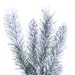 7'6"Hx25"W Pencil Flocked Crest Pine Artificial Christmas Tree, Unlit -White/Green - G256375