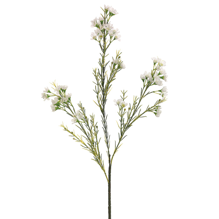 27" Silk Waxflower Flower Spray -White (pack of 12) - GSW121-WH