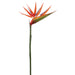 36" Silk Bird Of Paradise Flower Spray -Orange (pack of 24) - GTB553-OR