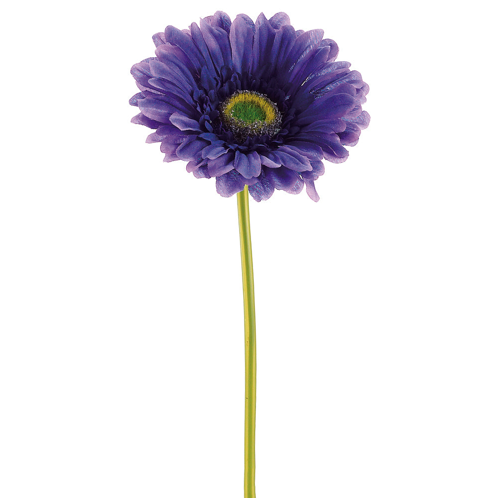 areca palm and the gerbera daisy 9" Large Gerbera Daisy Stem Dark Purple