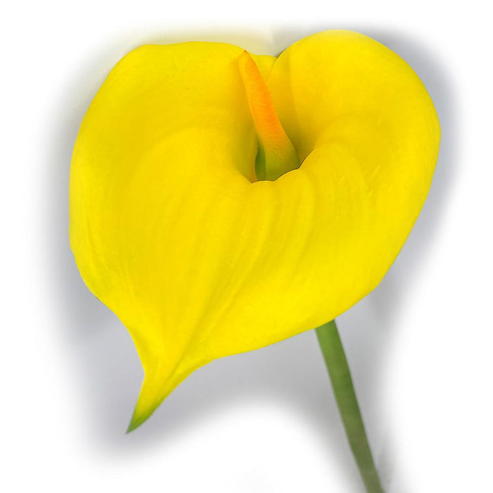 33" Silk Jumbo Calla Lily Flower Spray -Yellow (Pack of 12) - GTL086-YE