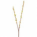 36" Silk Pussy Willow Blossom Flower Spray -Green (Pack of 24) - GTW845-GR