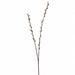 36" Silk Pussy Willow Blossom Flower Spray -Gray (Pack of 24) - GTW845-GY
