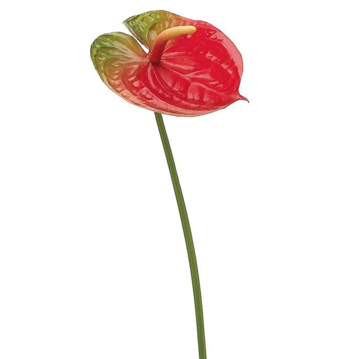 silk anthurium plant 25" Hand-Wrapped Silk Anthurium Flower Spray -Red/Green (Pack of 12)