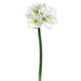 29" Hand-Wrapped Silk Amaryllis Flower Spray -White (Pack of 6) - HSA432-WH