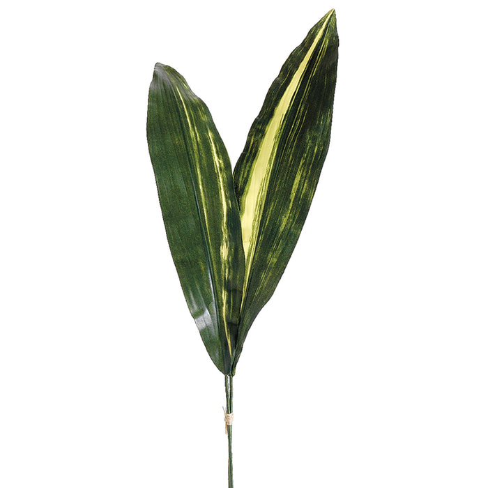 25.5" Silk Aspidistra Leaf Stem Bundle -Green (pack of 12) - HSA946-GR