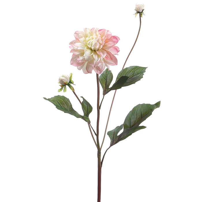 26" Handwrapped Silk Garden Dahlia Flower Spray -Pink/Cream (pack of 12) - HSD613-PK/CR