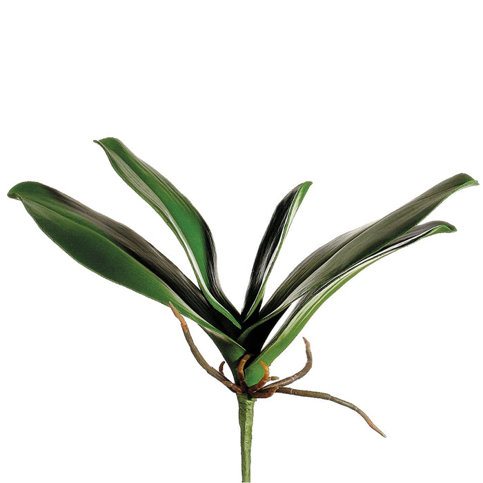 11" Silk Phalaenopsis Orchid Leaf Plant Stem -Green (pack of 12) - HSL130-GR