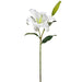 36" Silk Casablanca Lily Flower Stem -White (pack of 12) - HSL183-WH