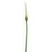 39.5" Handwrapped Silk Calla Lily Flower Spray -Cream (pack of 12) - HSL258-CR