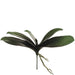 13" Silk Phalaenopsis Orchid Leaf Plant Stem -Green/Burgundy (pack of 12) - HSL262-GR/BU