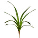 26.5" Artificial Cymbidium Orchid Leaf Plant Stem -Green (pack of 12) - HSL325-GR