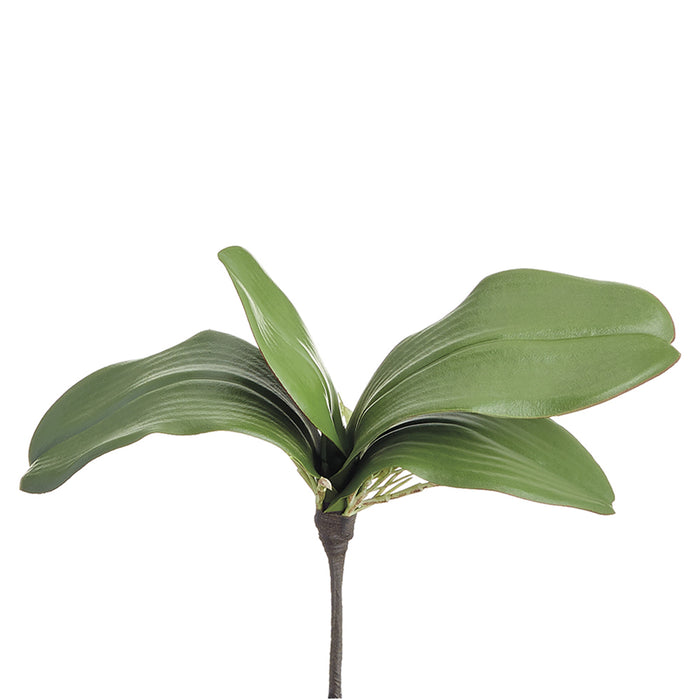 10" Soft-Touch Hand-Wrapped Phalaenopsis Orchid Leaf Silk Plant Stem -Green (Pack of 12) - HSL400-GR