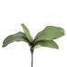 10" Soft Touch Phalaenopsis Orchid Leaf Silk Plant Stem -Green (pack of 12) - HSL400-GR