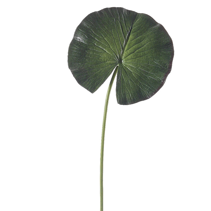 24" Silk Water Lily Leaf Stem -Green (Pack of 12) - HSL433-GR
