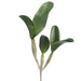 15" Silk Cattleya Orchid Leaf Plant Stem -Green (pack of 6) - HSL471-GR
