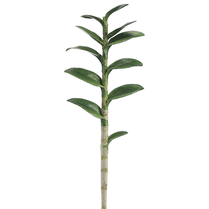 29" Hand-Wrapped Silk Dendrobium Orchid Leaf Plant Stem -Green (Pack of 6) - HSL475-GR