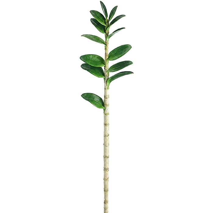 43" Hand-Wrapped Silk Dendrobium Orchid Leaf Plant Stem -Green (Pack of 6) - HSL477-GR