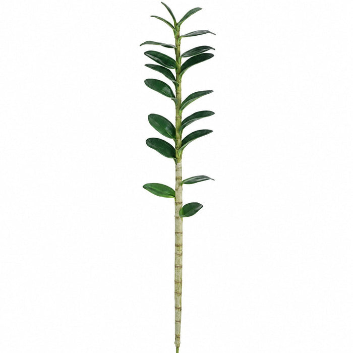 46.5" Hand-Wrapped Silk Dendrobium Orchid Leaf Plant Stem -Green (Pack of 6) - HSL479-GR