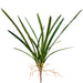 27" Hand-Wrapped Cymbidium Orchid Leaf Artificial Plant Stem -Green (Pack of 12) - HSL500-GR